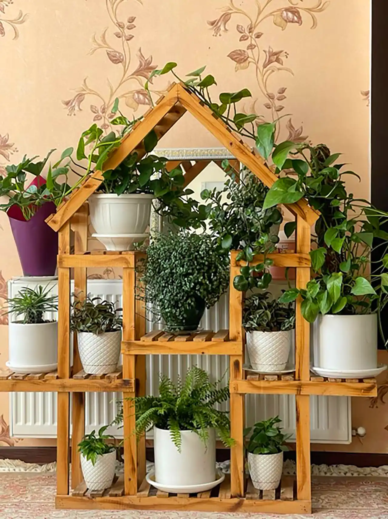 عکس از قفسه چوبی گیاهان آپارتمانی