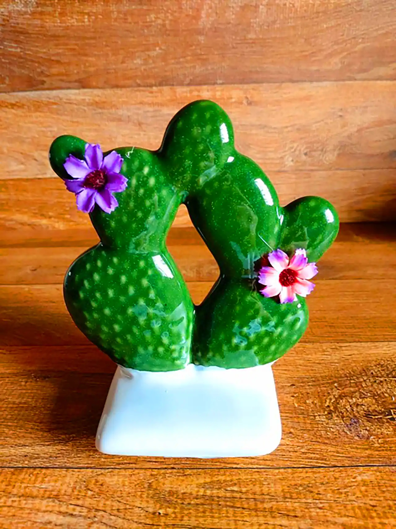 دکوریجات گوگولی طرح کاکتوس 