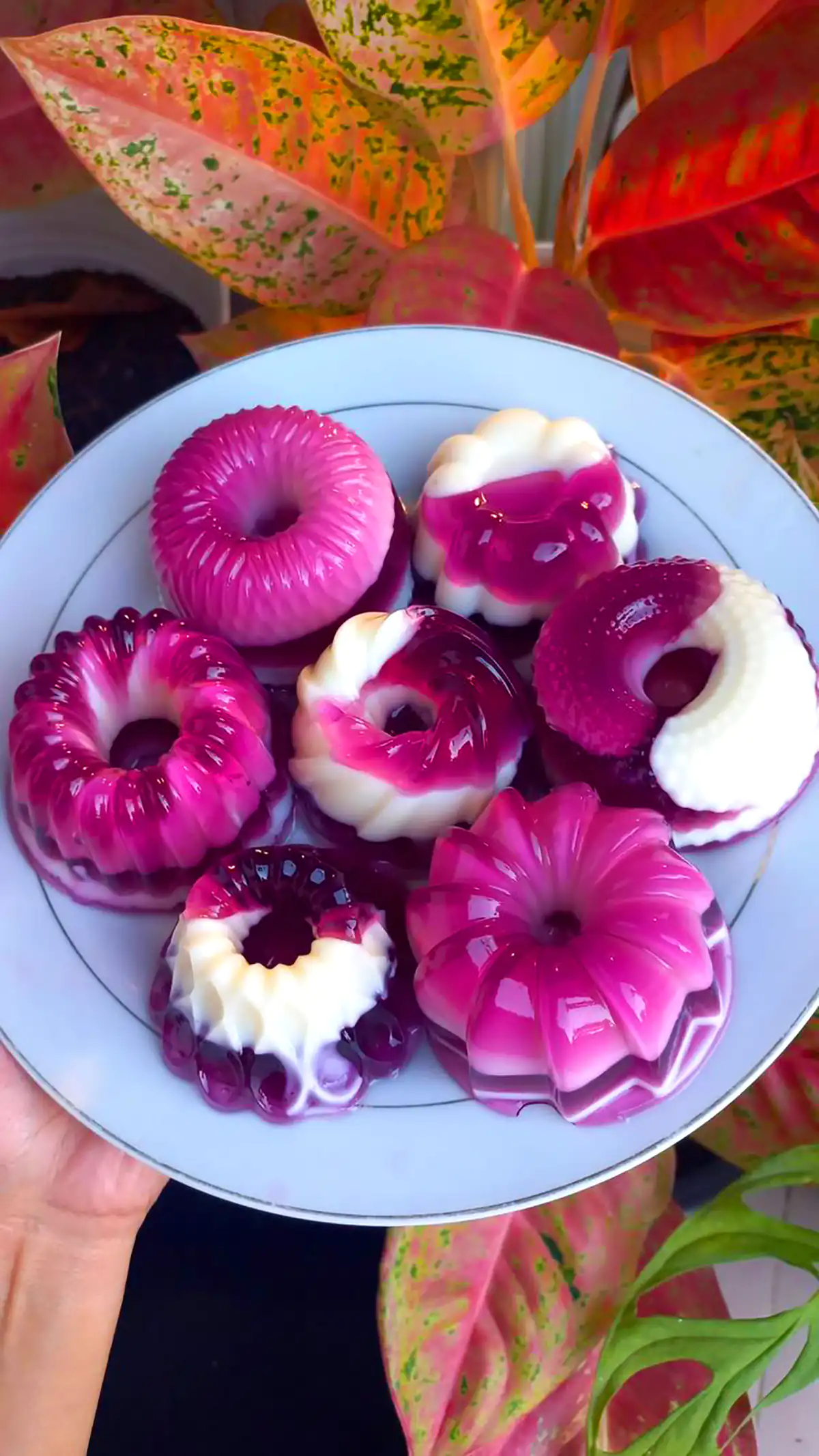 ژله میوه ای مجلسی 