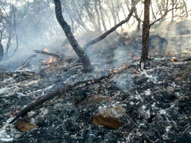شعله‌های بی‌مسئولیتی مسئولان، حیات را در شاهو خاکستر کرد
