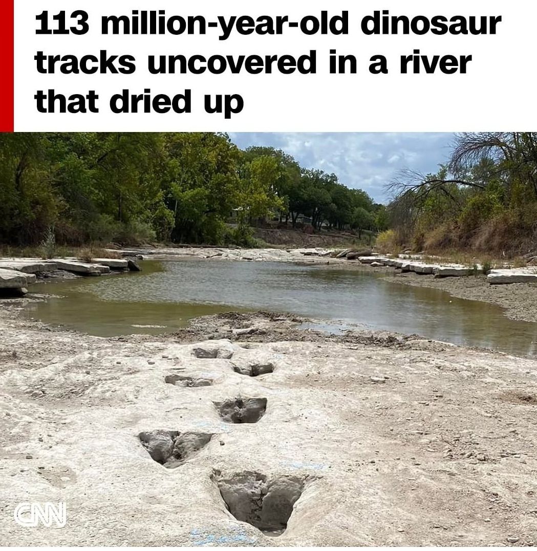 خشکسالی ردپا دایناسورها را نمایان کرد
