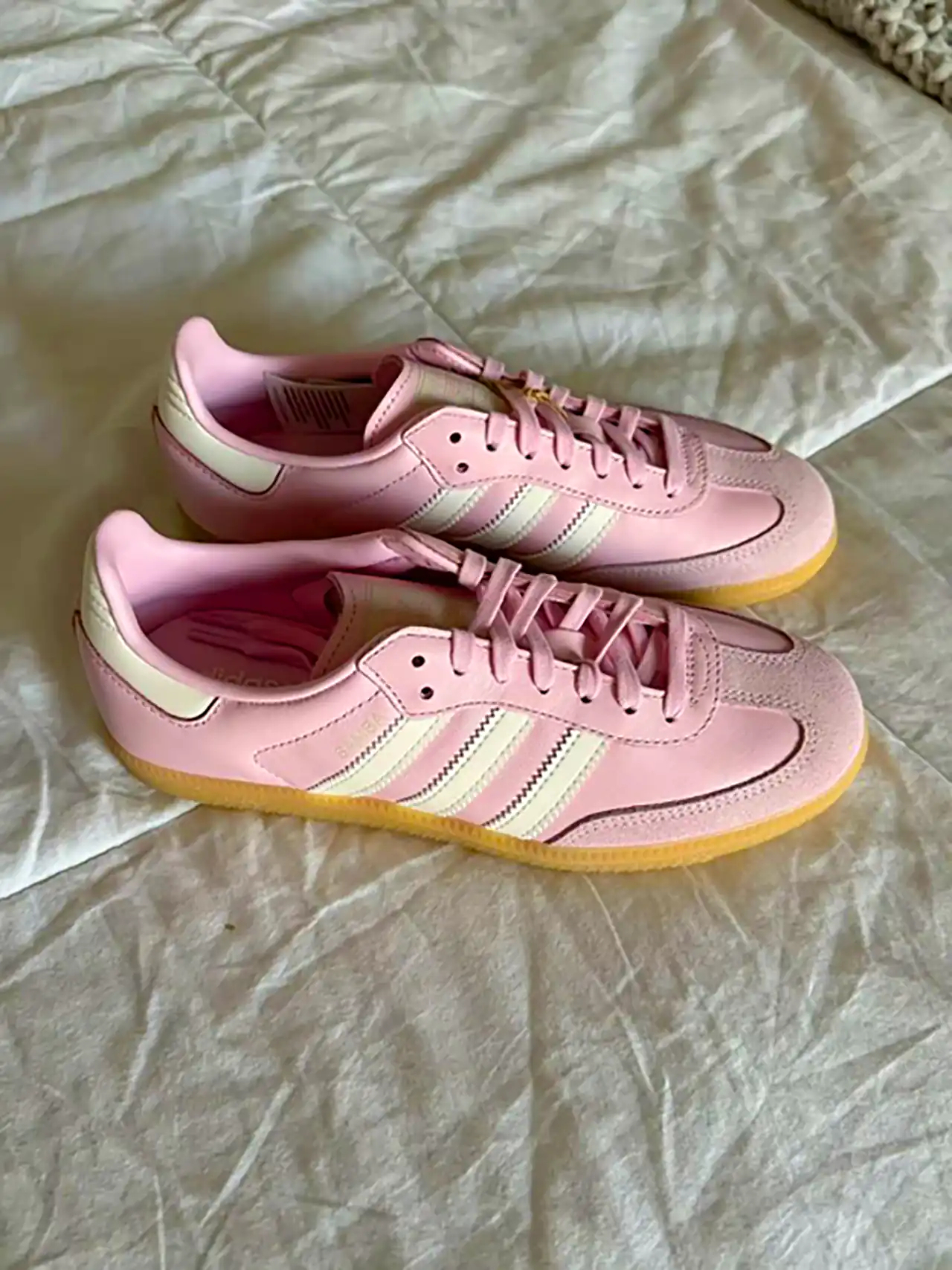 کتونی سامبا ترند