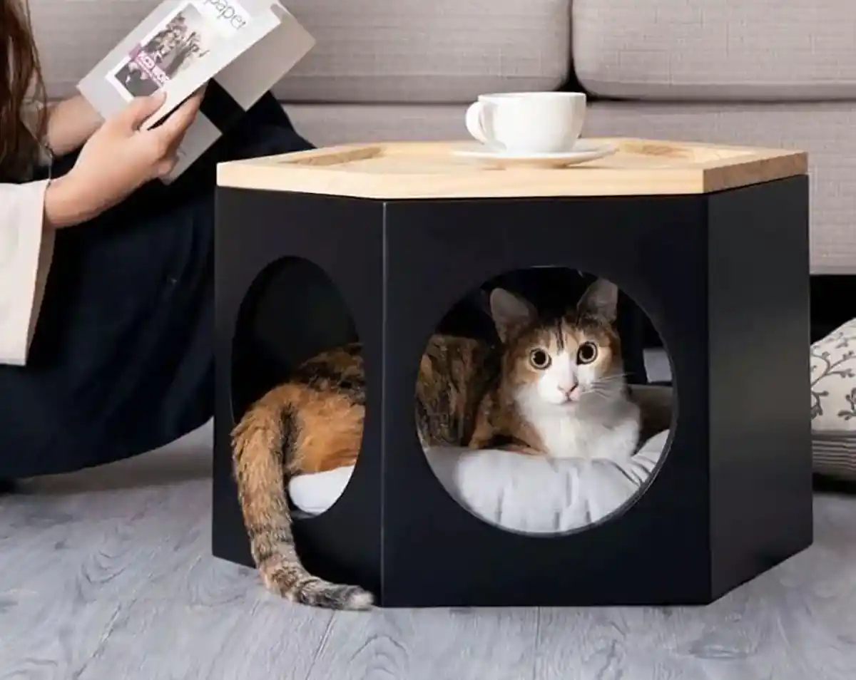 باکس چوبی حیوانات وحشی
قفس خرگوش بباکس چوبی حیواناتزرگ
اسباب بازی خرگوش
باکس چوبی حیوانات اهلی
باکس چوبی حیوانات
