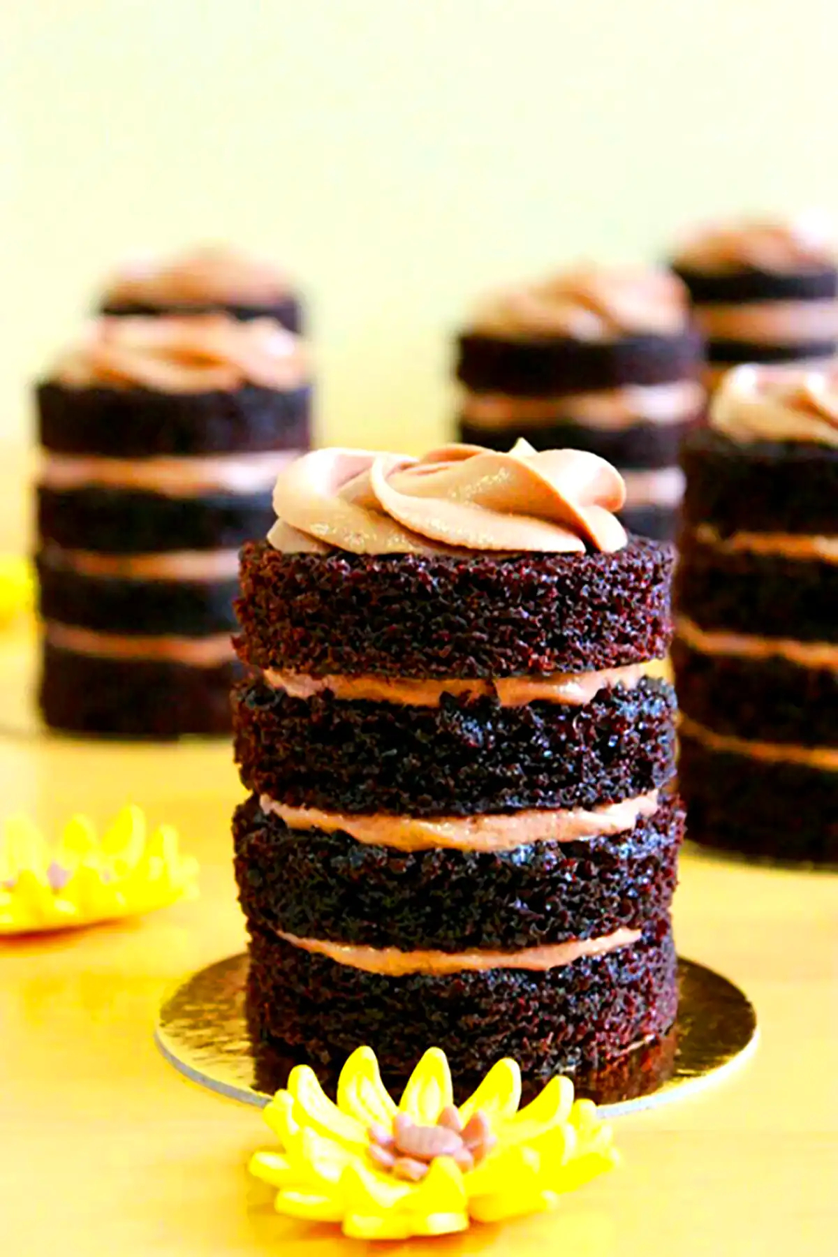 میینی کیک کاکائویی خوش طعم 