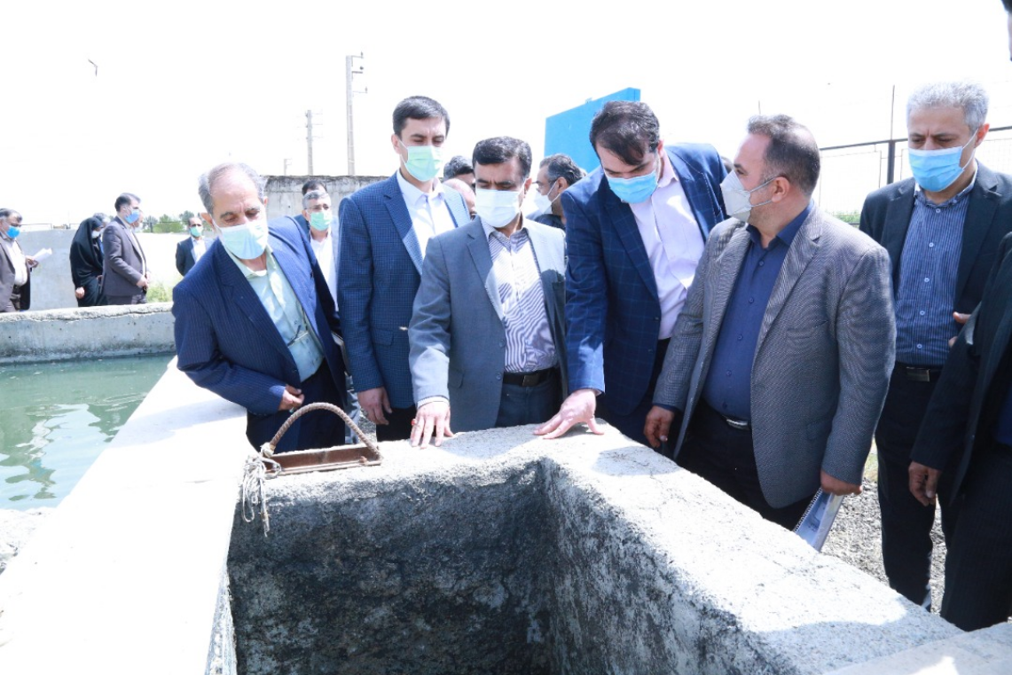 رییس سازمان حفاظت محیط زیست