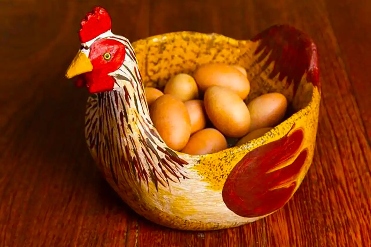 جا تخم مرغی طرح مرغ