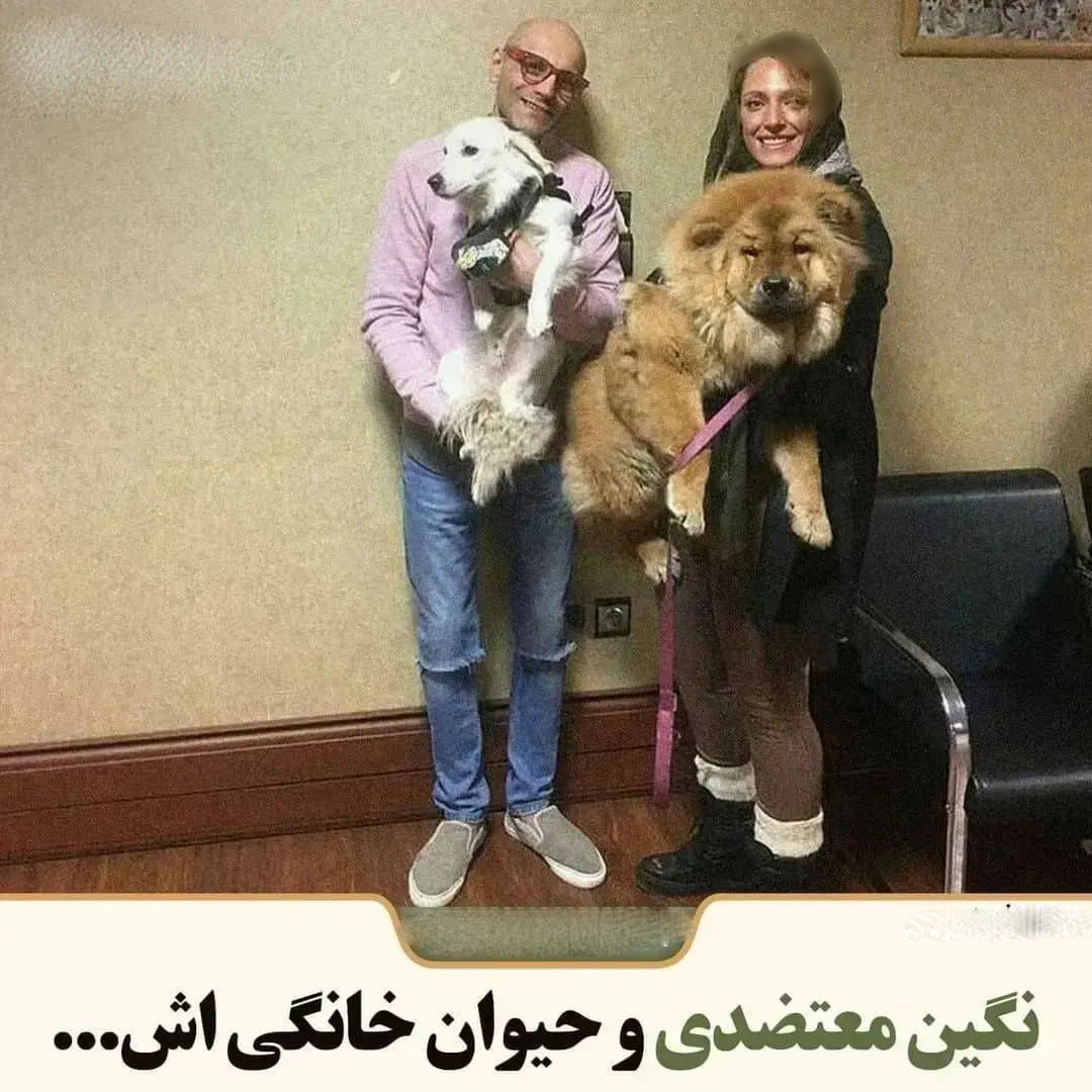 حیوانات سلبریتی های ایرانی (6)