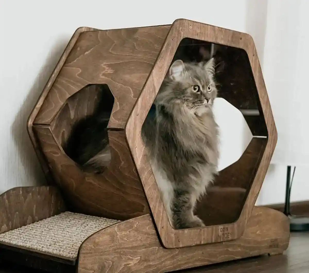 باکس چوبی حیوانات وحشی
قفس خرگوش بباکس چوبی حیواناتزرگ
اسباب بازی خرگوش
باکس چوبی حیوانات اهلی
باکس چوبی حیوانات
