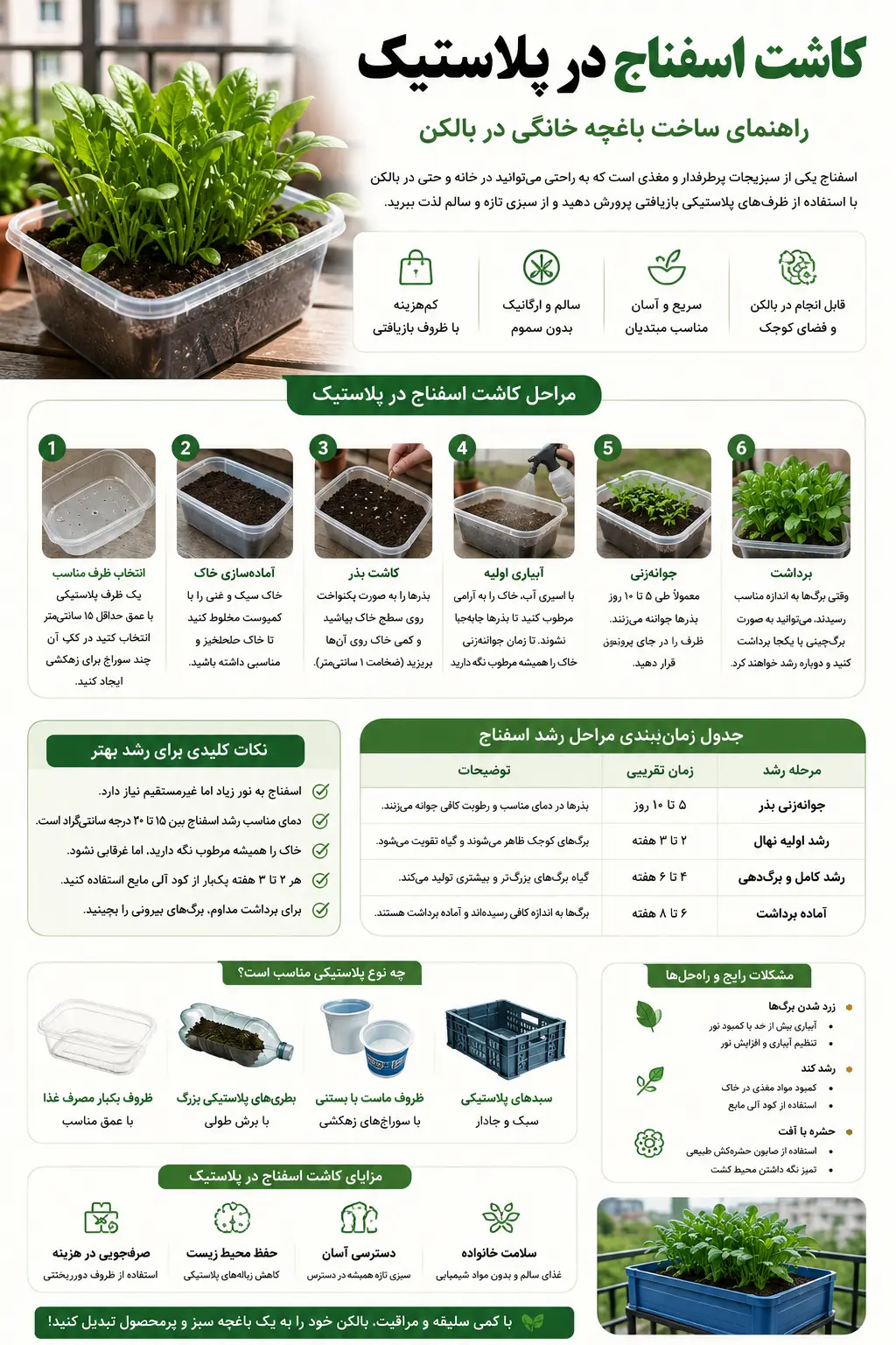 کاشت اسفناج در بالکن؛ با یک ظرف پلاستیکی باغچه خانگی بسازید! کاشت اسفناج در بالکن؛ با یک ظرف پلاستیکی باغچه خانگی بسازید!