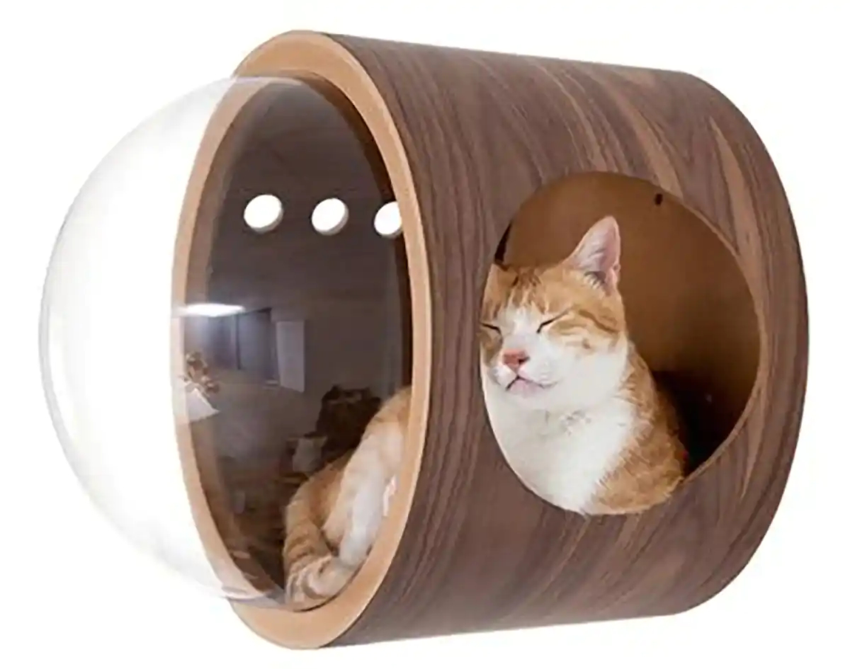 باکس چوبی حیوانات وحشی
قفس خرگوش بباکس چوبی حیواناتزرگ
اسباب بازی خرگوش
باکس چوبی حیوانات اهلی
باکس چوبی حیوانات
