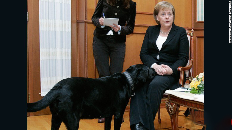 سگ بزرگ پوتین