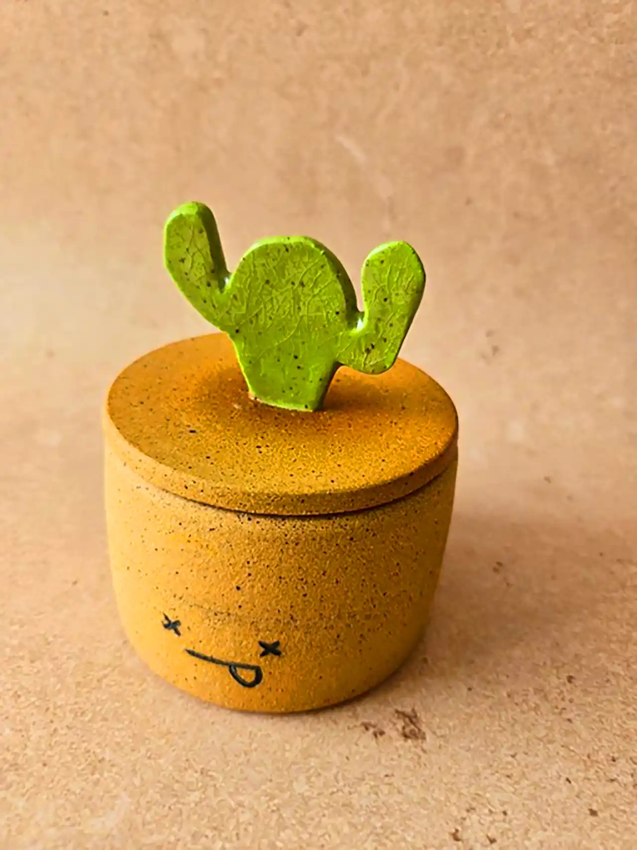 دکوریجات گوگولی طرح کاکتوس 