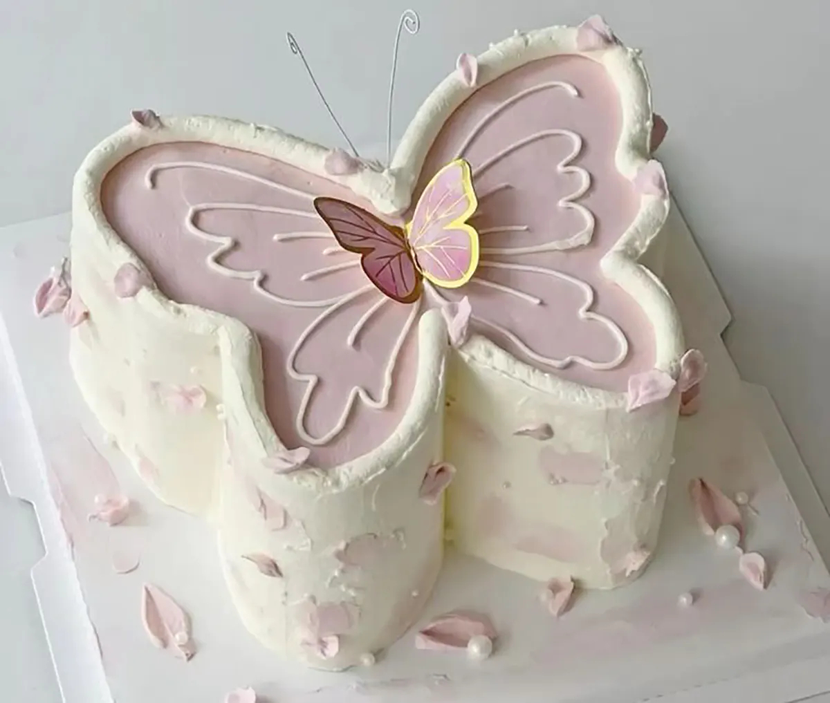 کیک پروانه ای بنفش کیک پروانه ای قرمز کیک پروانه ای رنگارنگ کیک تولد پروانه ای دخترانه کیک پروانه ای آبی