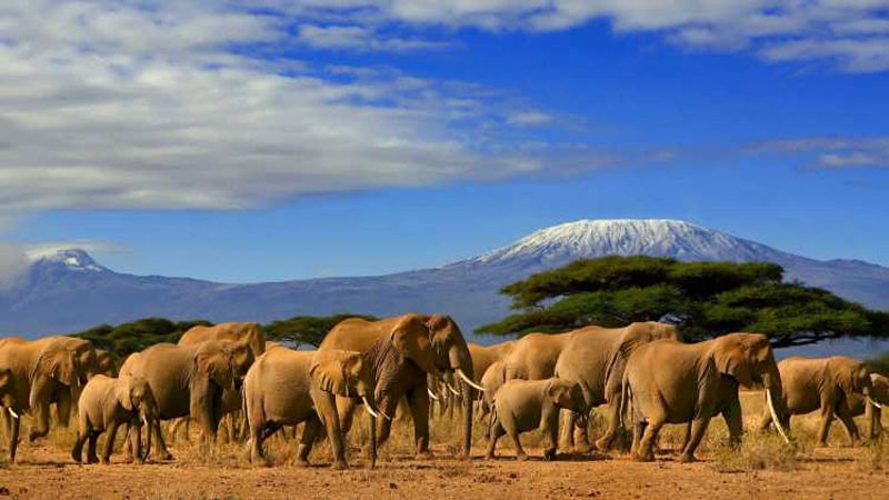 سفر به کنیا