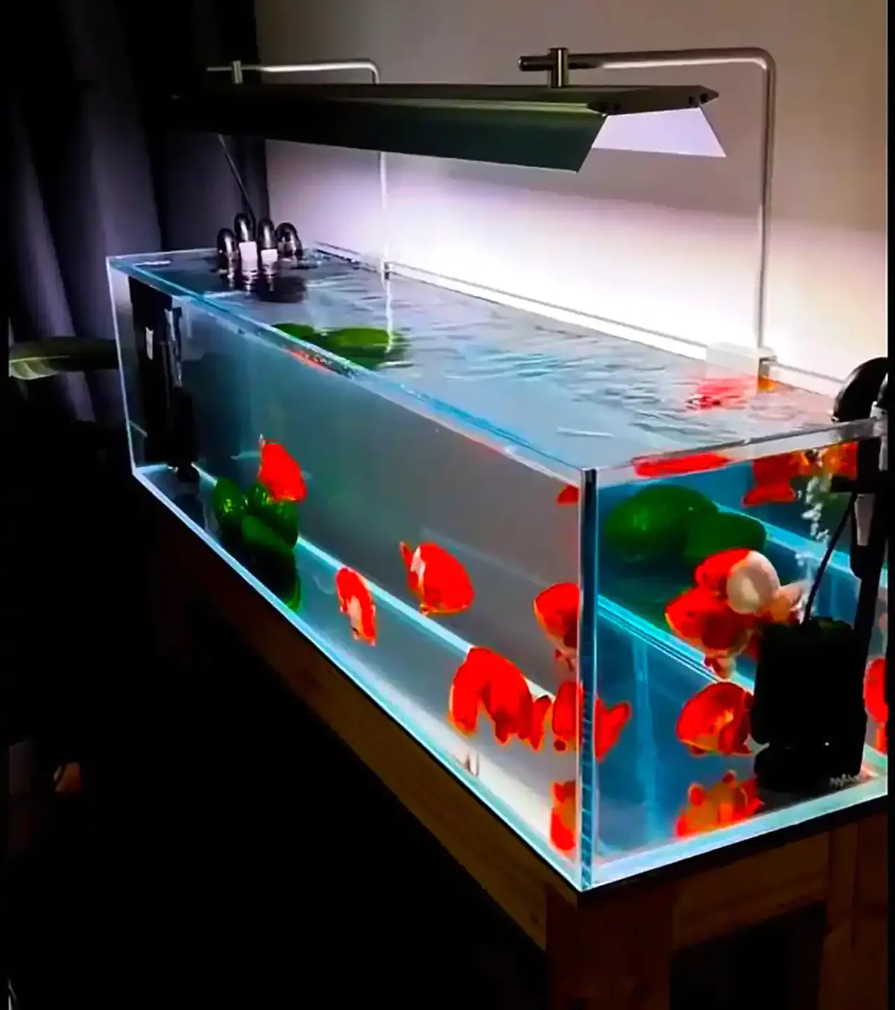 مدل اکواریوم شیک + زیباترین مدل های اکواریوم شیک و لاکچری و خفن