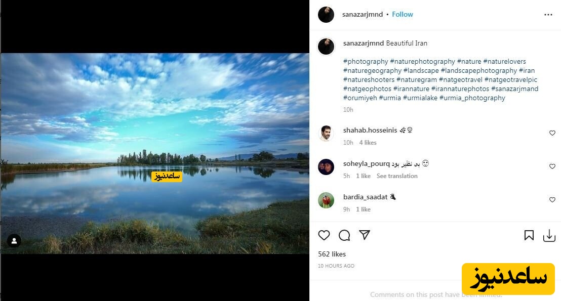 ساناز ارجمند