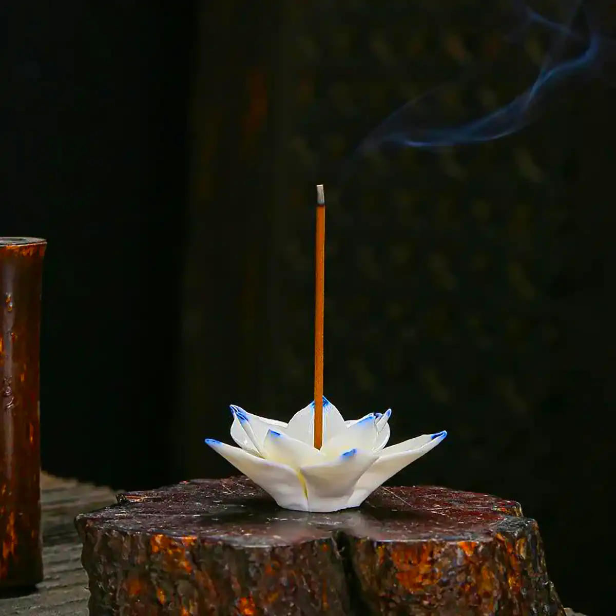 جاعودی شیک و زیبا