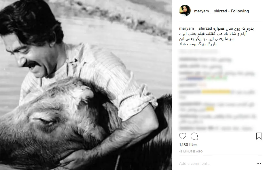 انتظامی