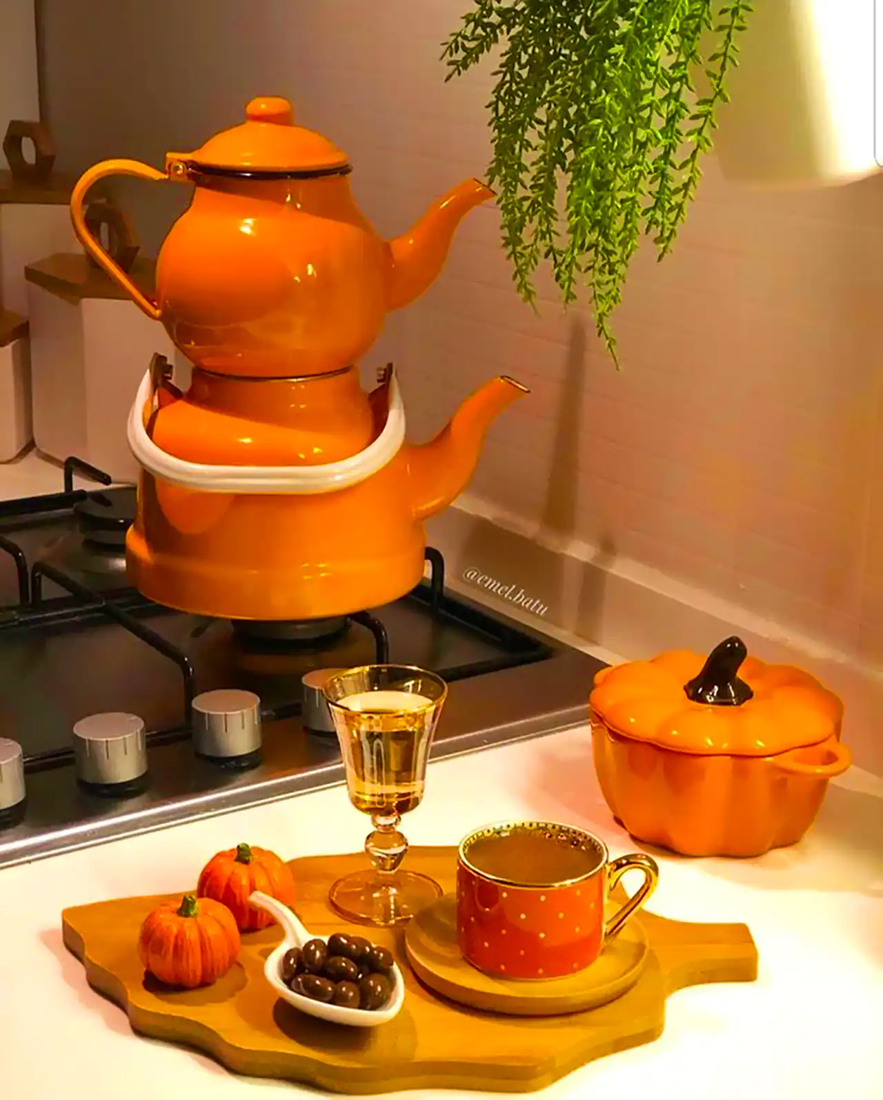 قوری و کتری فانتزی زیبا 