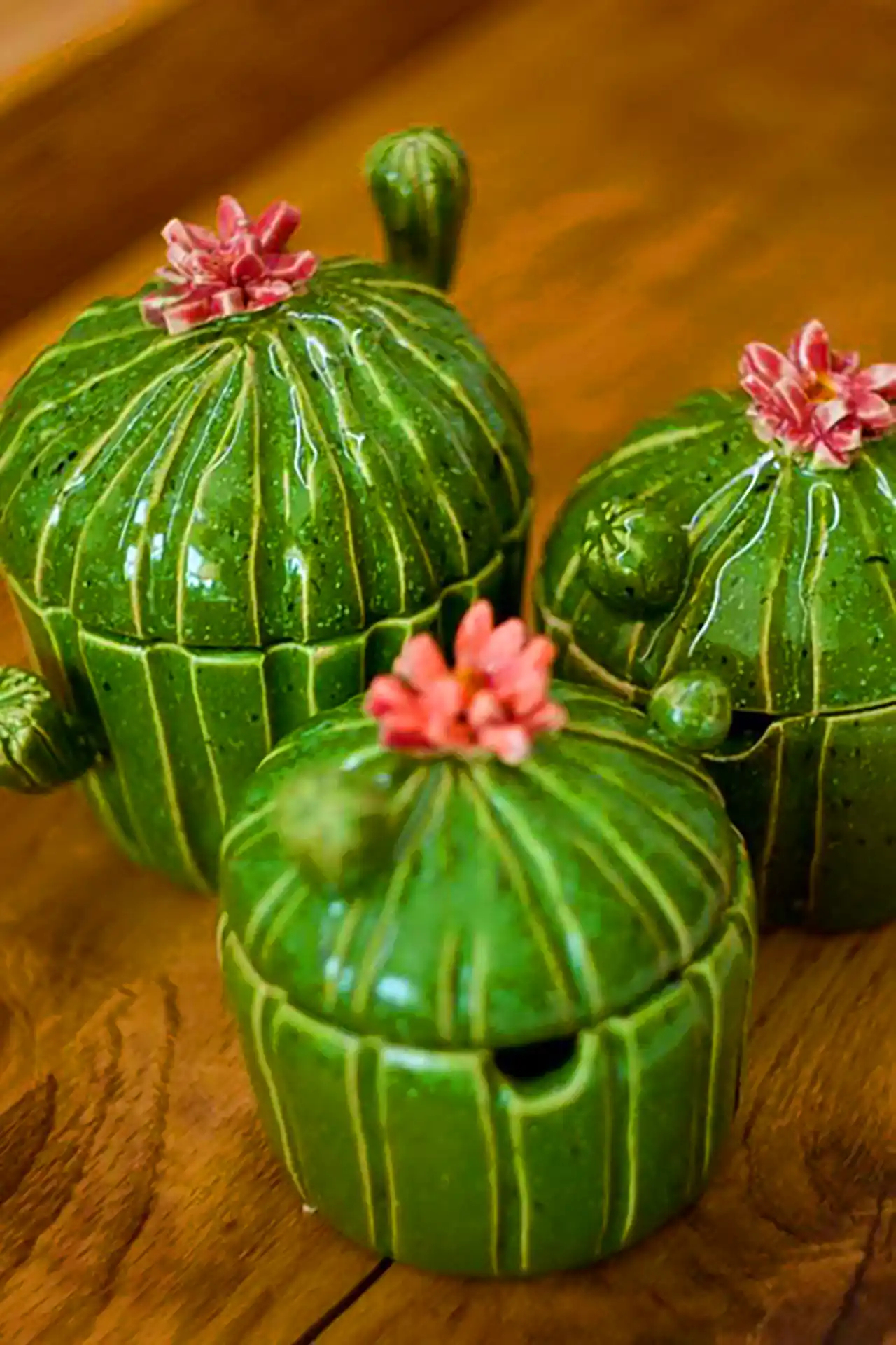 دکوریجات گوگولی طرح کاکتوس 