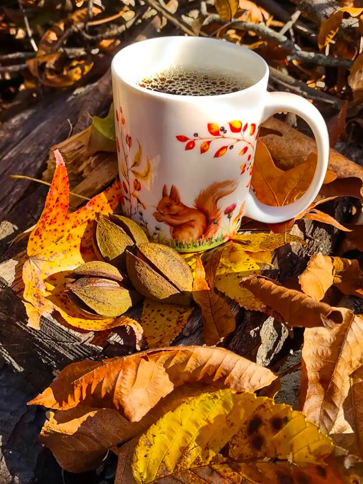 ماگ سرامیکی پاییزی