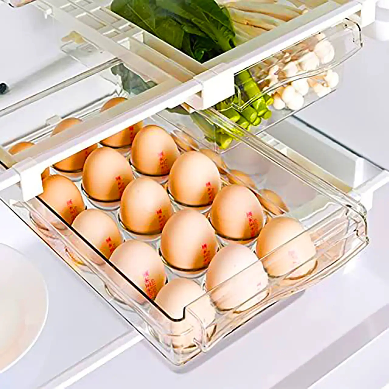 جا تخم مرغی جدید