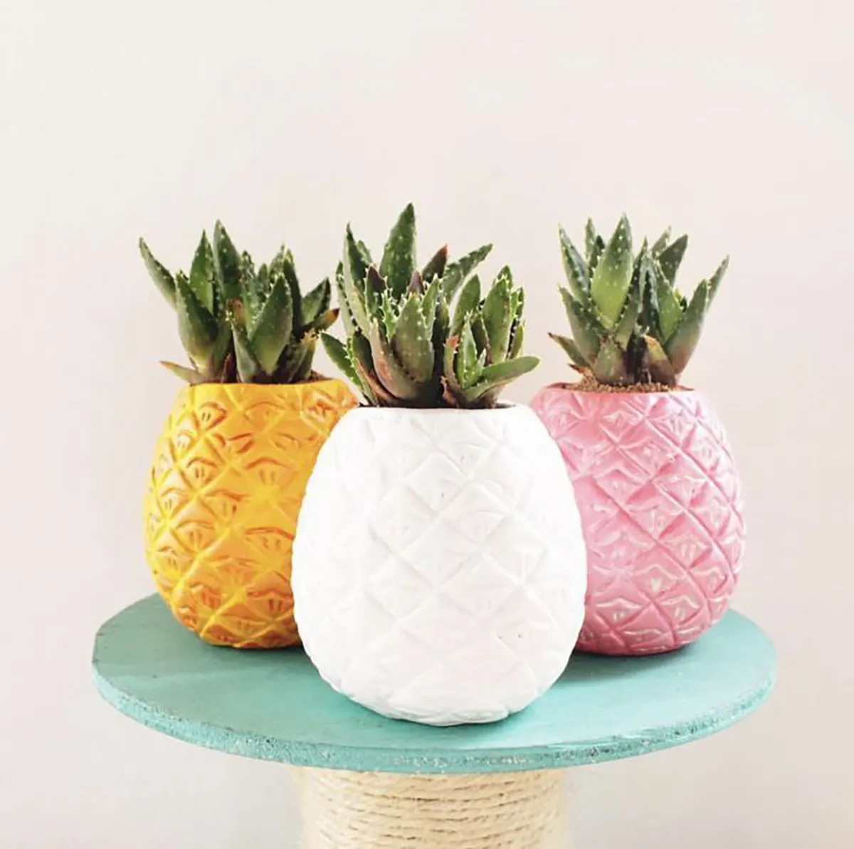 گلدان رومیزی شیک دیجی کالا
گلدان رومیزی مدرن
گلدان رومیزی لاکچری
گلدان رومیزی کوچک
گلدان رومیزی فانتزی
گل و گلدان رومیزی شیک
