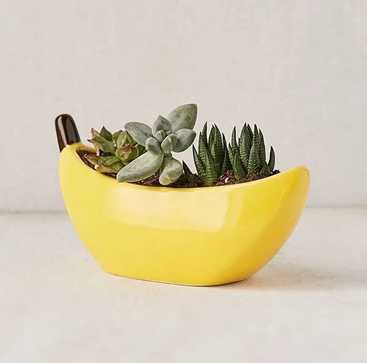 گلدان رومیزی شیک دیجی کالا
گلدان رومیزی مدرن
گلدان رومیزی لاکچری
گلدان رومیزی کوچک
گلدان رومیزی فانتزی
گل و گلدان رومیزی شیک
