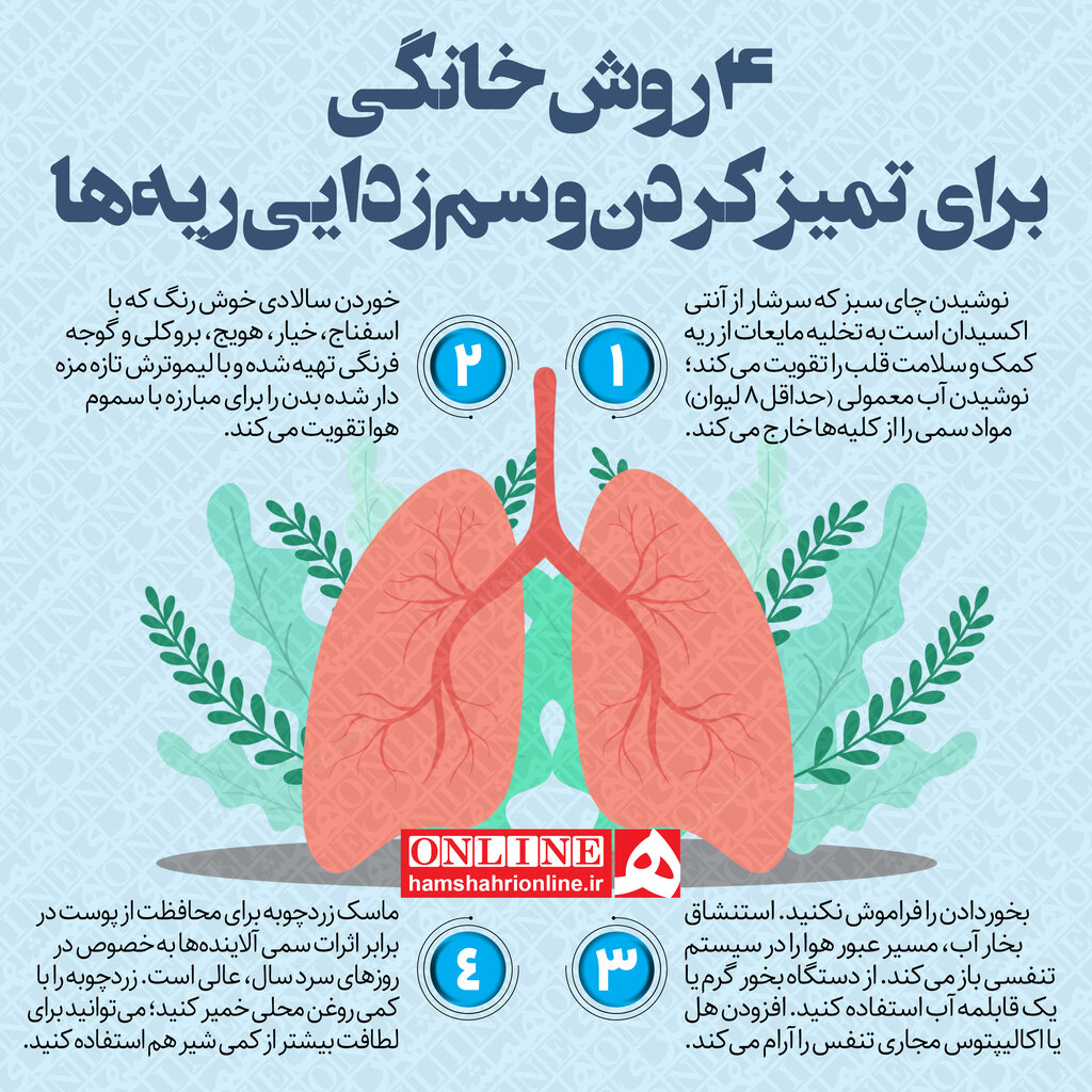 روش های ساده برای پاکسازی ریه ها در آلودگی هوا اینفوگرافی