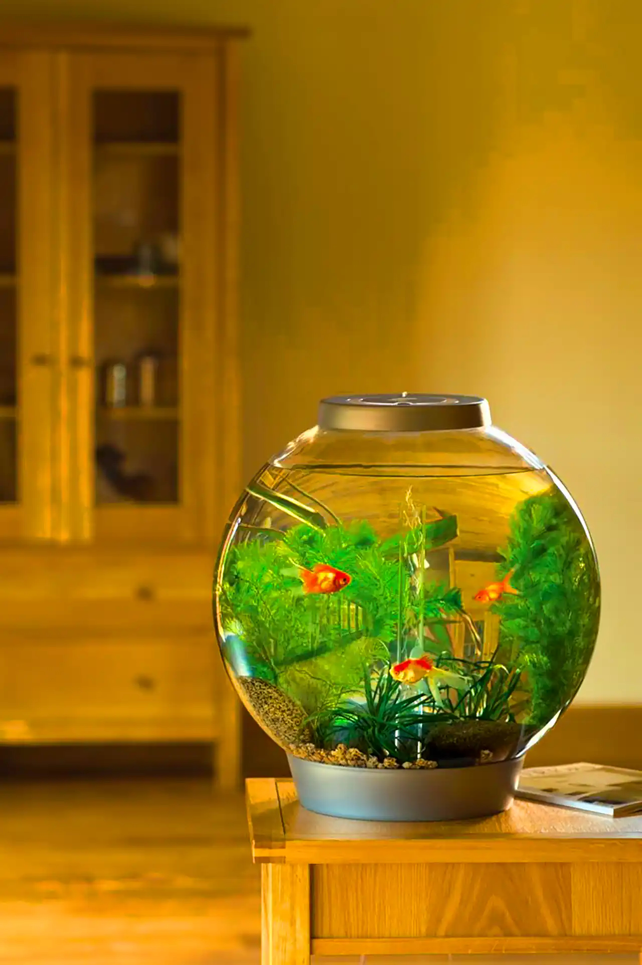 آکواریوم مدل مینی شیشه ای