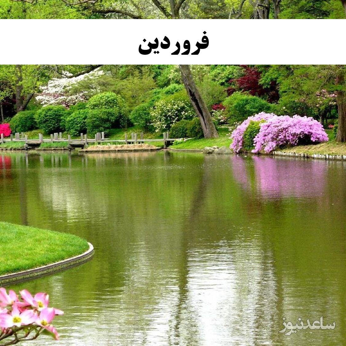 فروردین
