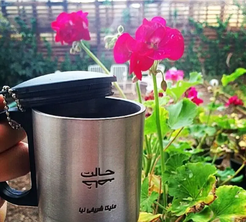 ملیکا شریفی نیا