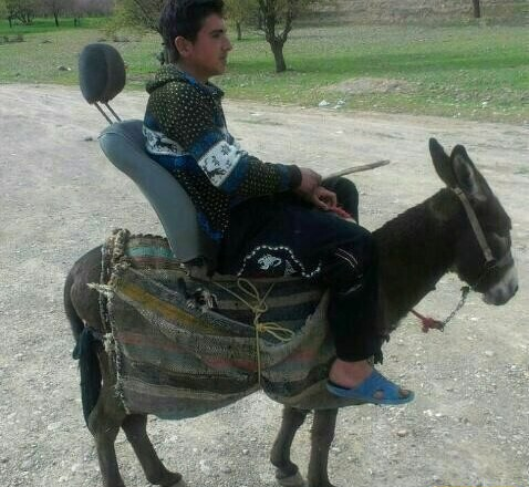 خلاقیت چوپان