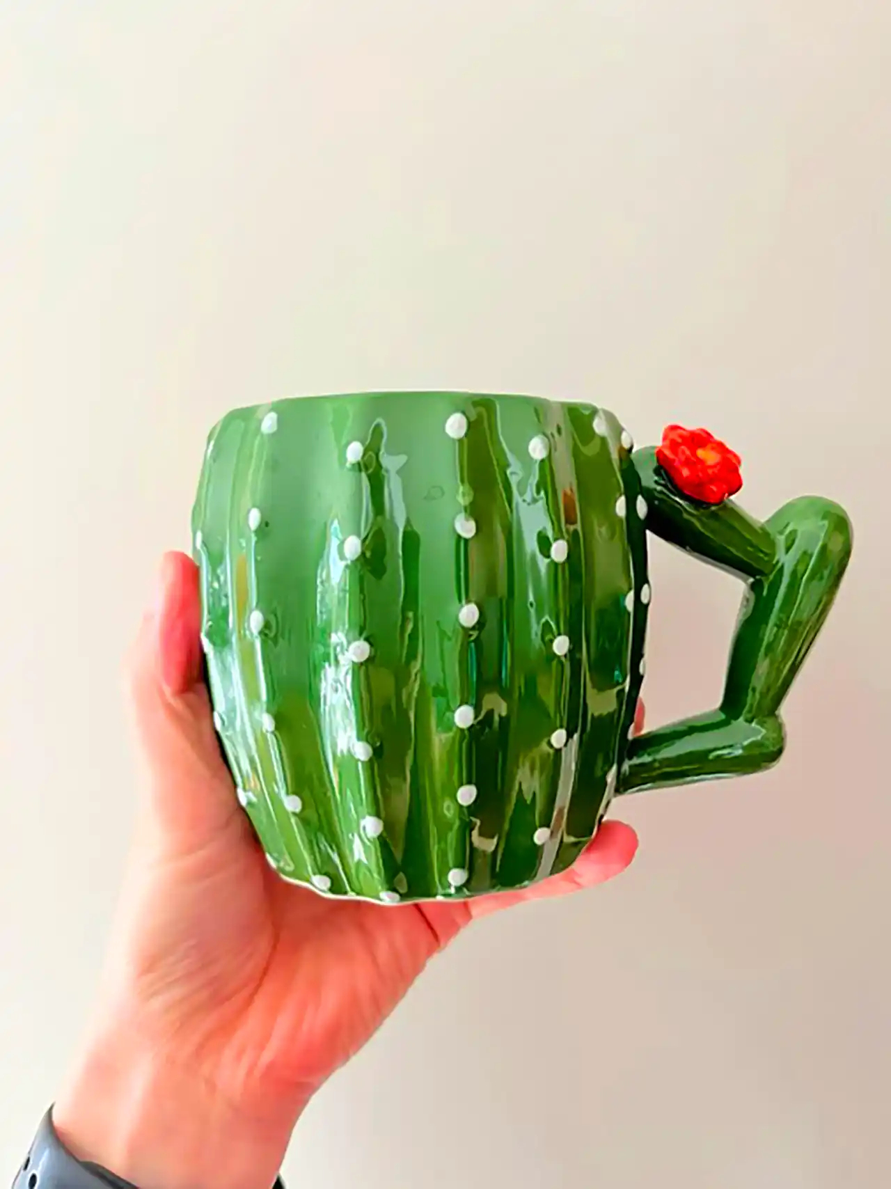 دکوریجات گوگولی طرح کاکتوس 