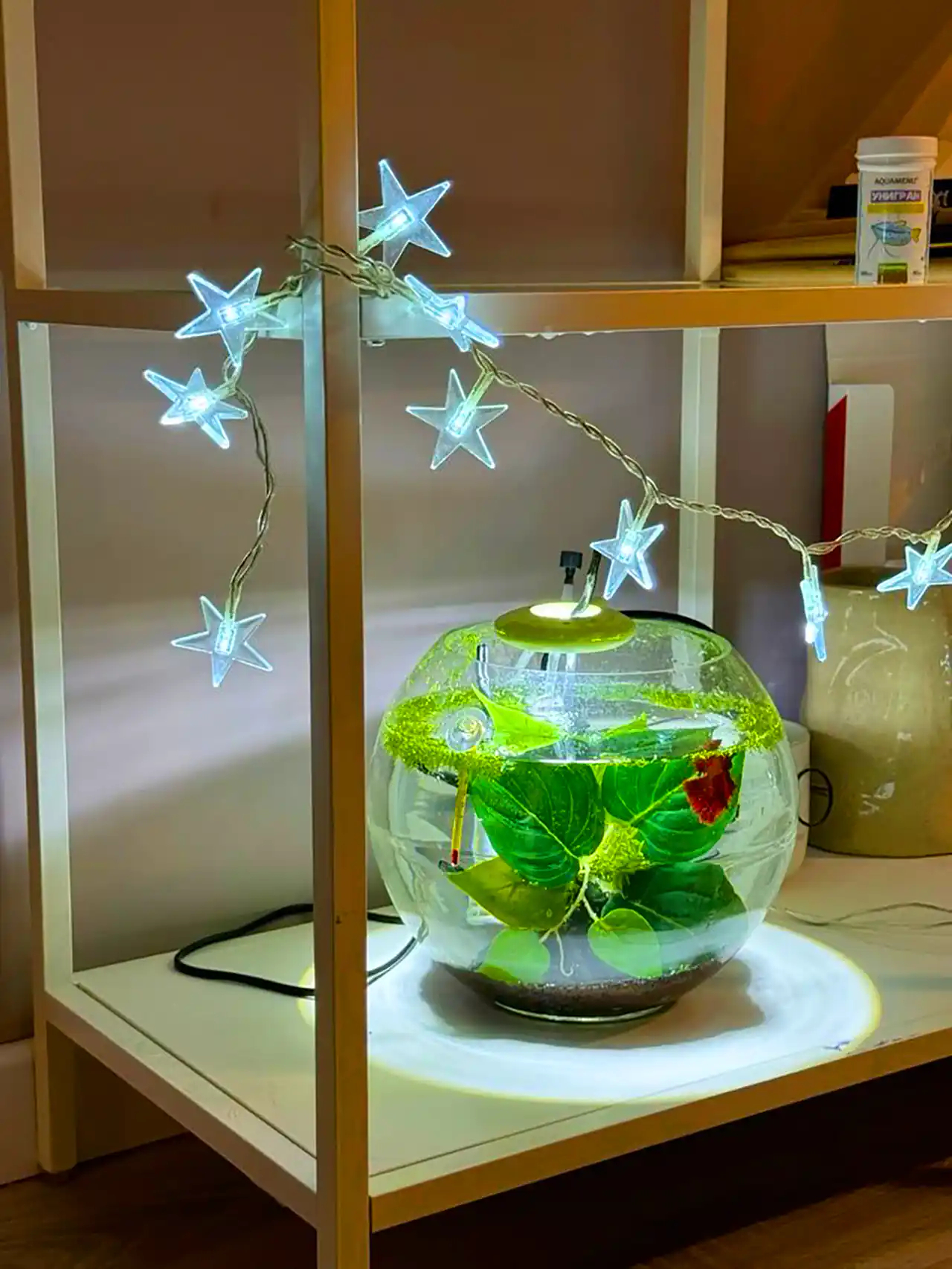 آکواریوم مدل مینی شیشه ای