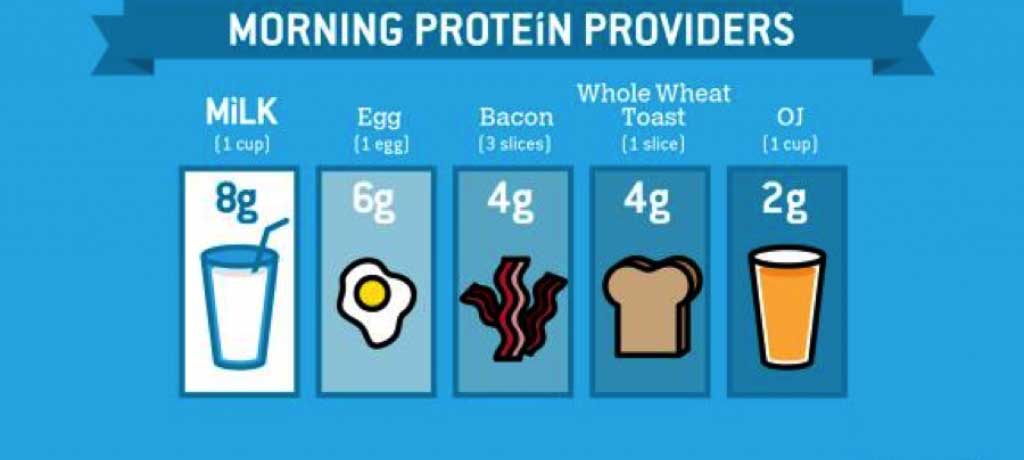 پروتئین 