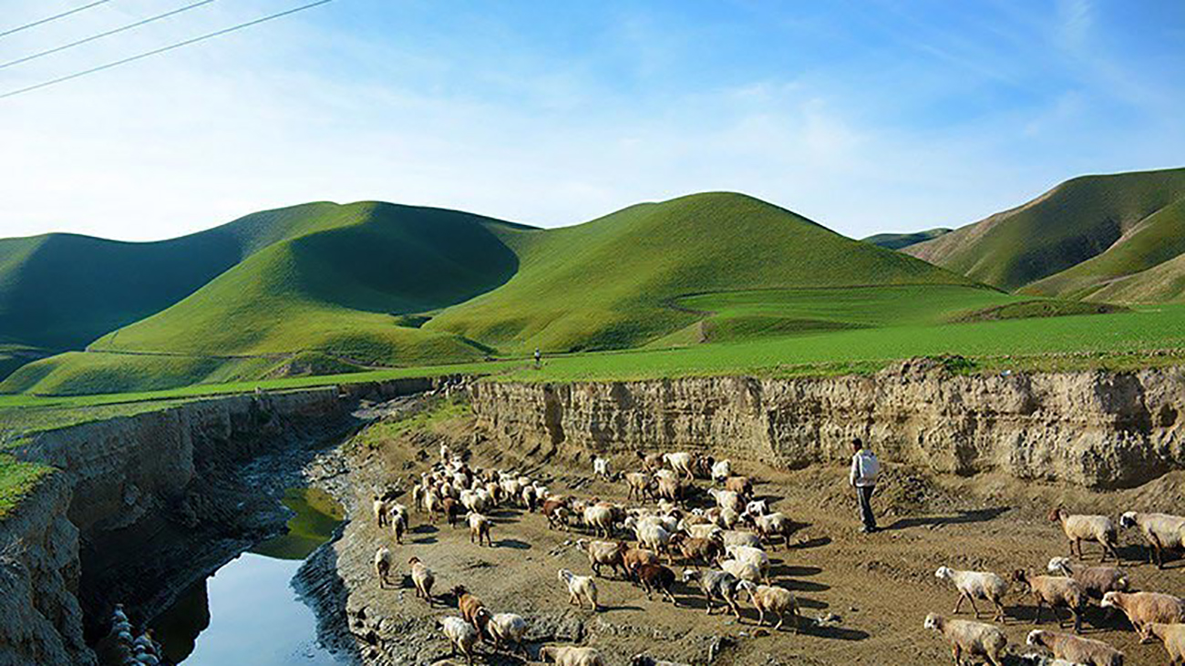 منطره ای زیبا از ترکمن صحرا گلستان + عکس