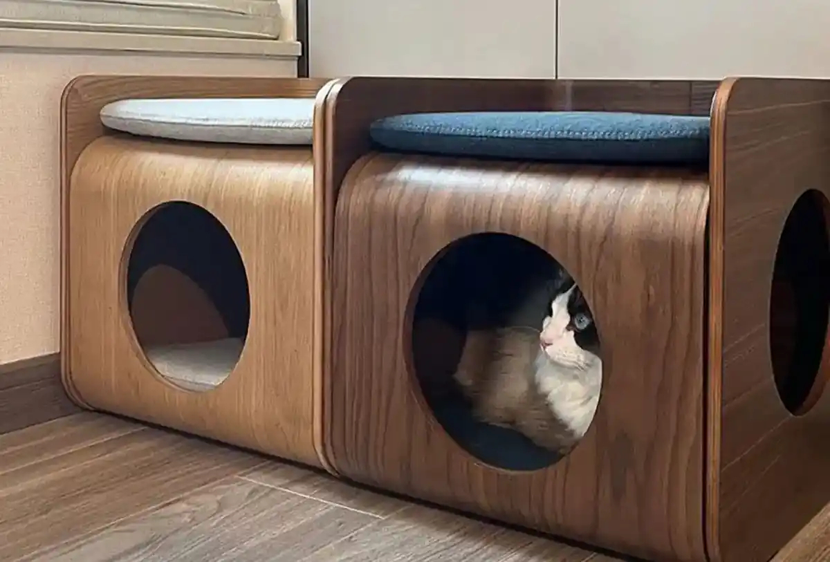 باکس چوبی حیوانات وحشی
قفس خرگوش بباکس چوبی حیواناتزرگ
اسباب بازی خرگوش
باکس چوبی حیوانات اهلی
باکس چوبی حیوانات
