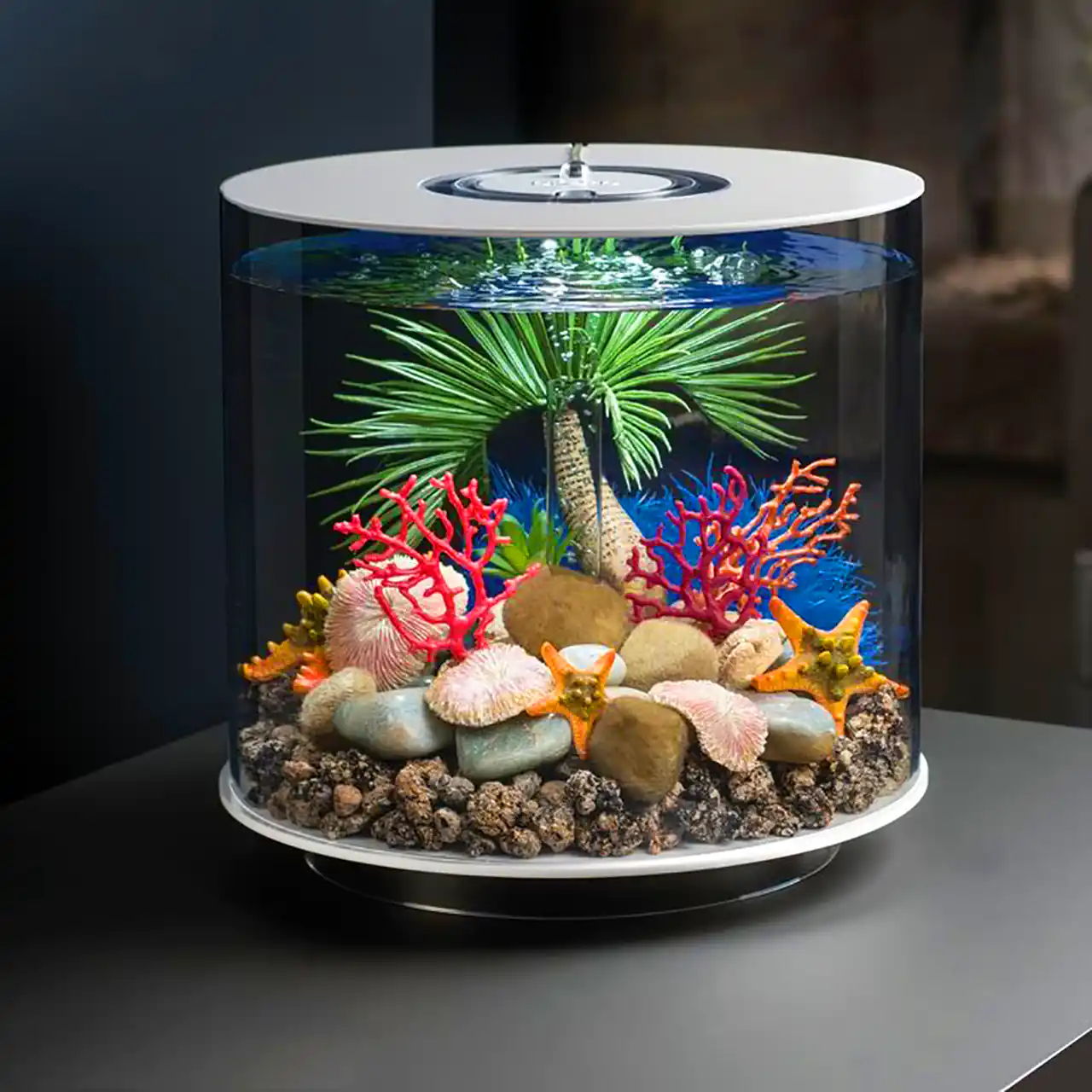 آکواریوم مدل مینی شیشه ای