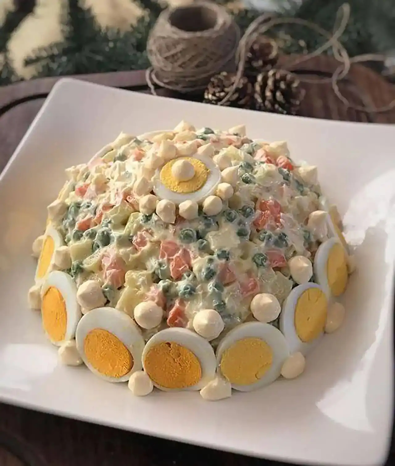 تزیین سالاد الویه + زیباترین مدل های دیزاین و تزیین سالاد الویه بسیار شیک و امروزی