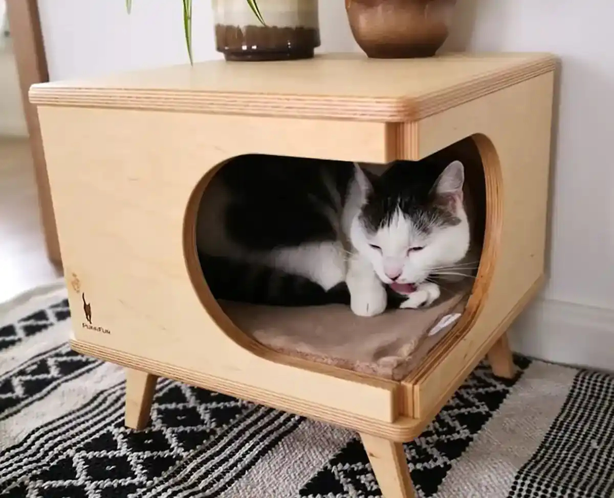 باکس چوبی حیوانات وحشی
قفس خرگوش بباکس چوبی حیواناتزرگ
اسباب بازی خرگوش
باکس چوبی حیوانات اهلی
باکس چوبی حیوانات
