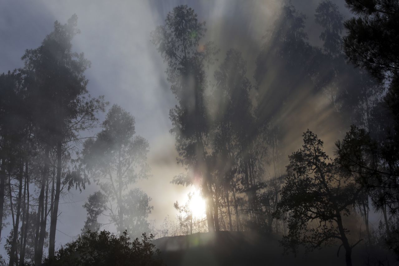 تصاویر هولناک از آتش سوزی شمال آتن