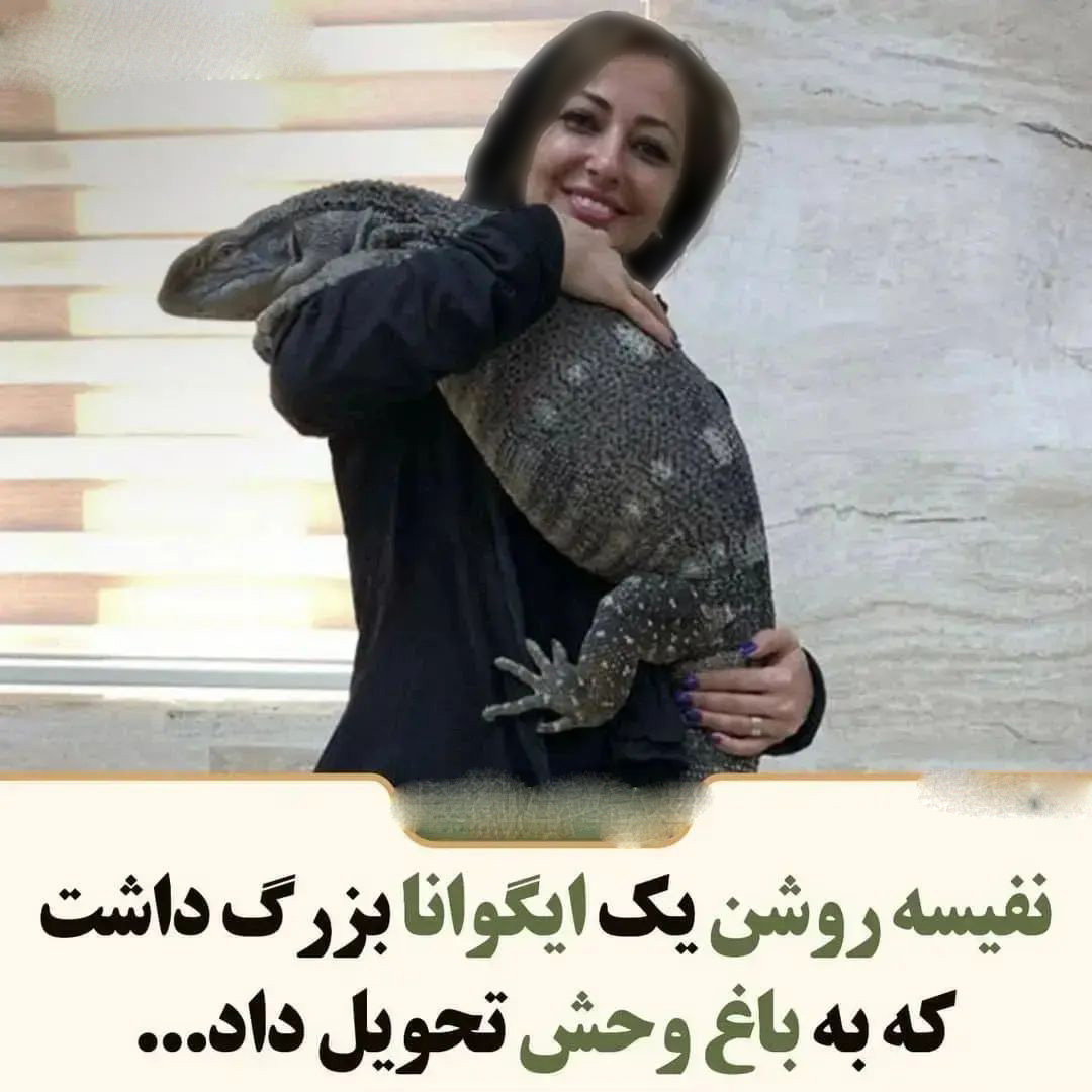 حیوانات سلبریتی های ایرانی (11)