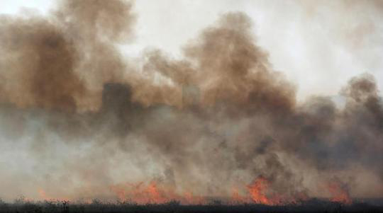آتش زدن مزارع اسرائیلی‌ها با بادبادک