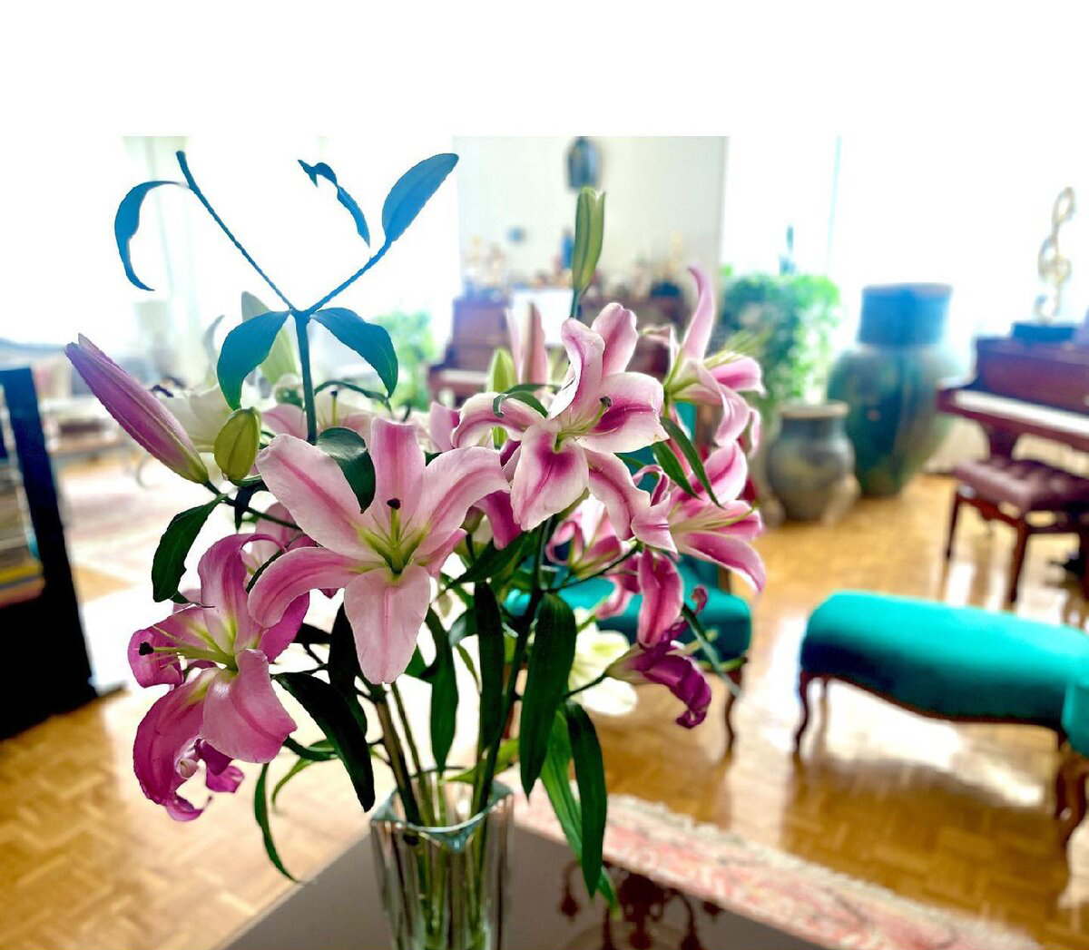 خانه نرگس محمدی