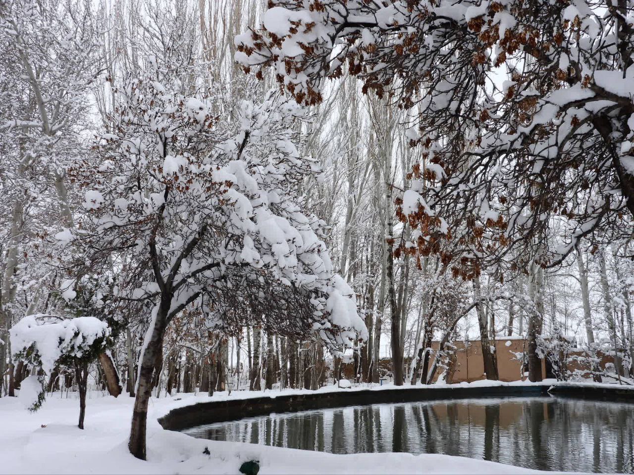 برف در اصفهان