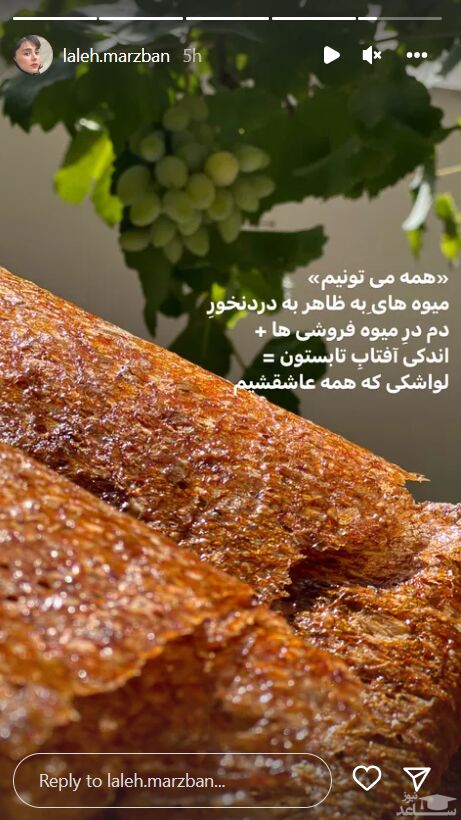 لواشک خانگی لاله مرزبان