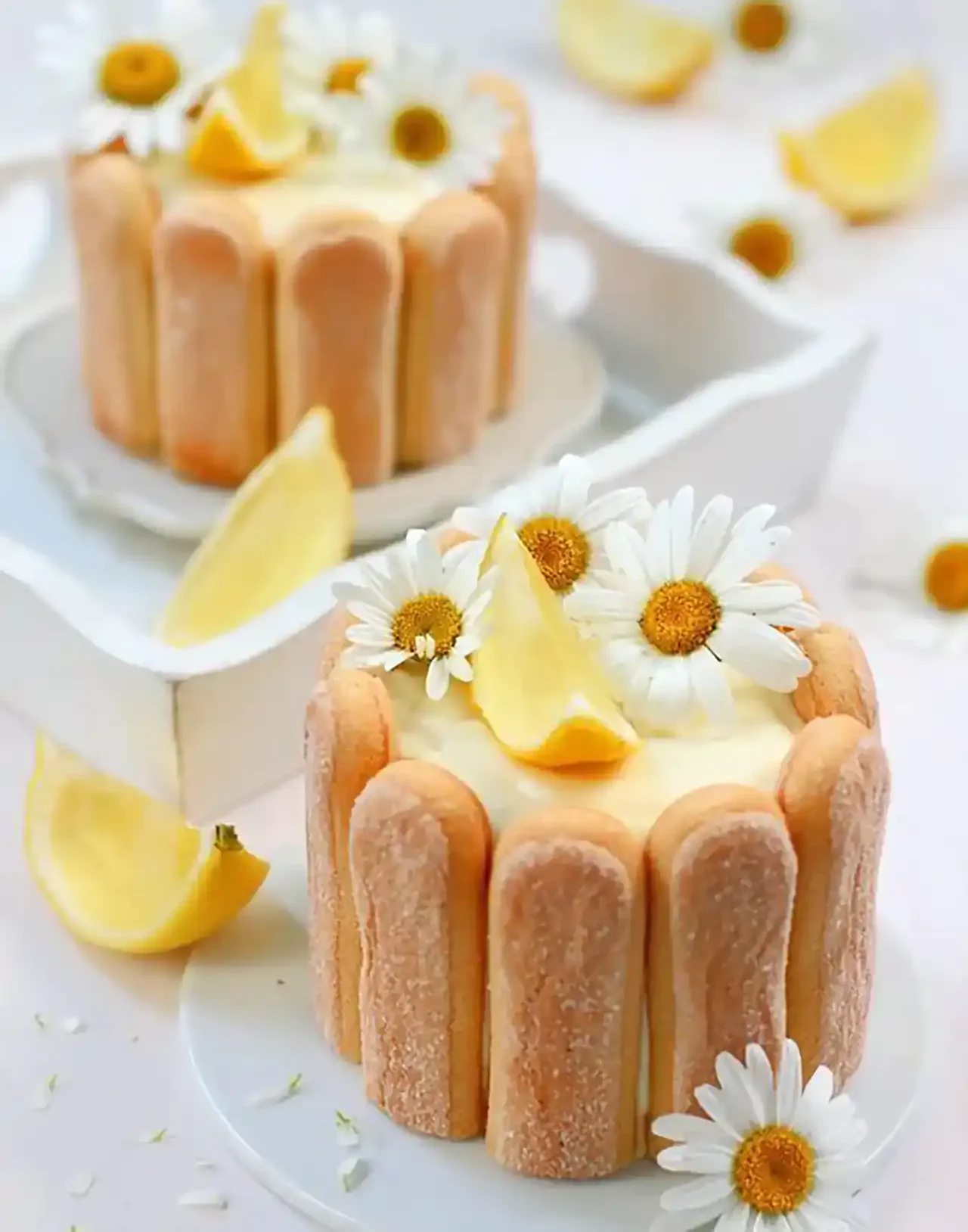 مدل شیرینی تر + زیباترین مدل های شیرینی تر بسیار خوشگل و خوشمزه