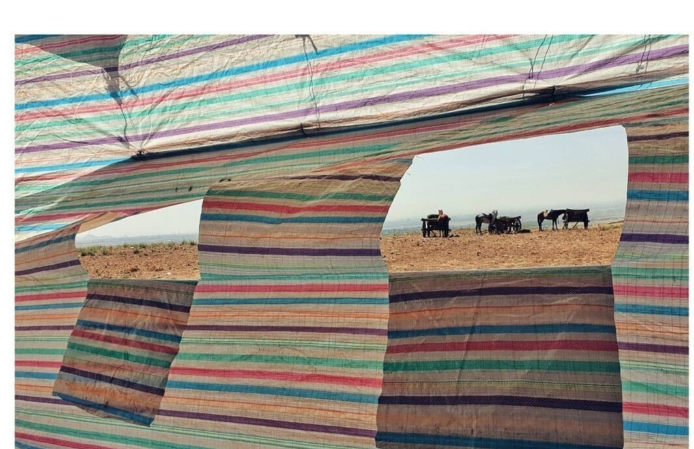 عکاسی مهدی پاکدل