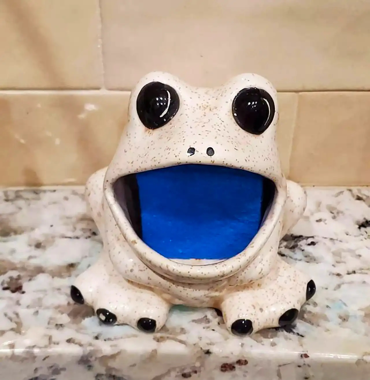 جا اسکاچی فانتزی شیک